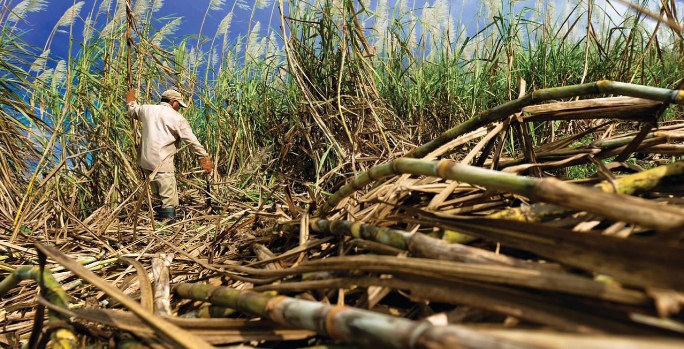 Saffron Empowerment Article